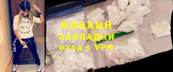 хмурый Верея