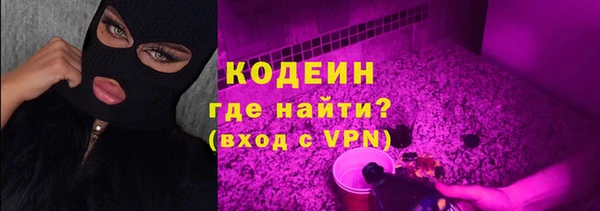 хмурый Верея