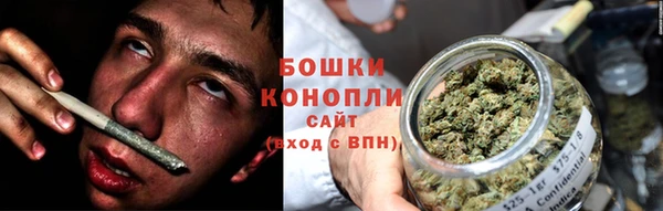 хмурый Верея
