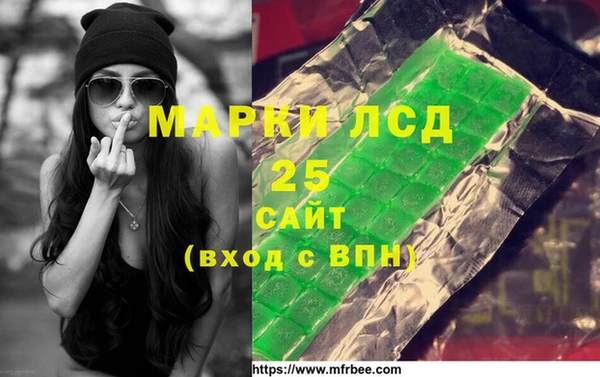 хмурый Верея