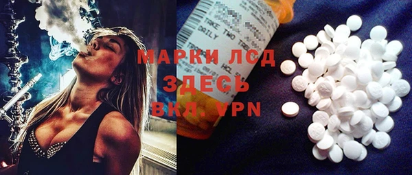 хмурый Верея