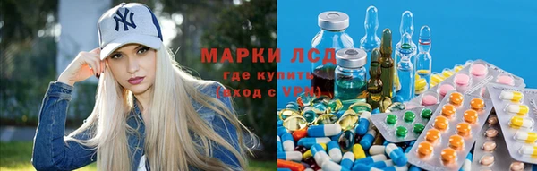 хмурый Верея