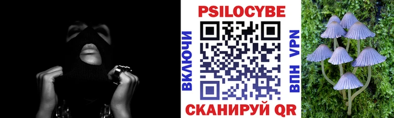Псилоцибиновые грибы Psilocybine cubensis  Горячий Ключ 